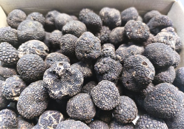 Entensoße mit schwarzem Perigord Trüffel